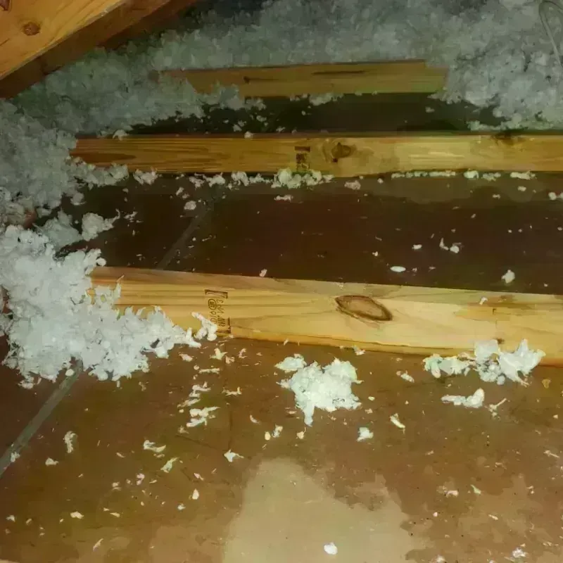 Attic Water Damage in Gladstone, MI