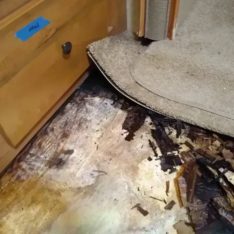 Wood Floor Water Damage in Gladstone, MI